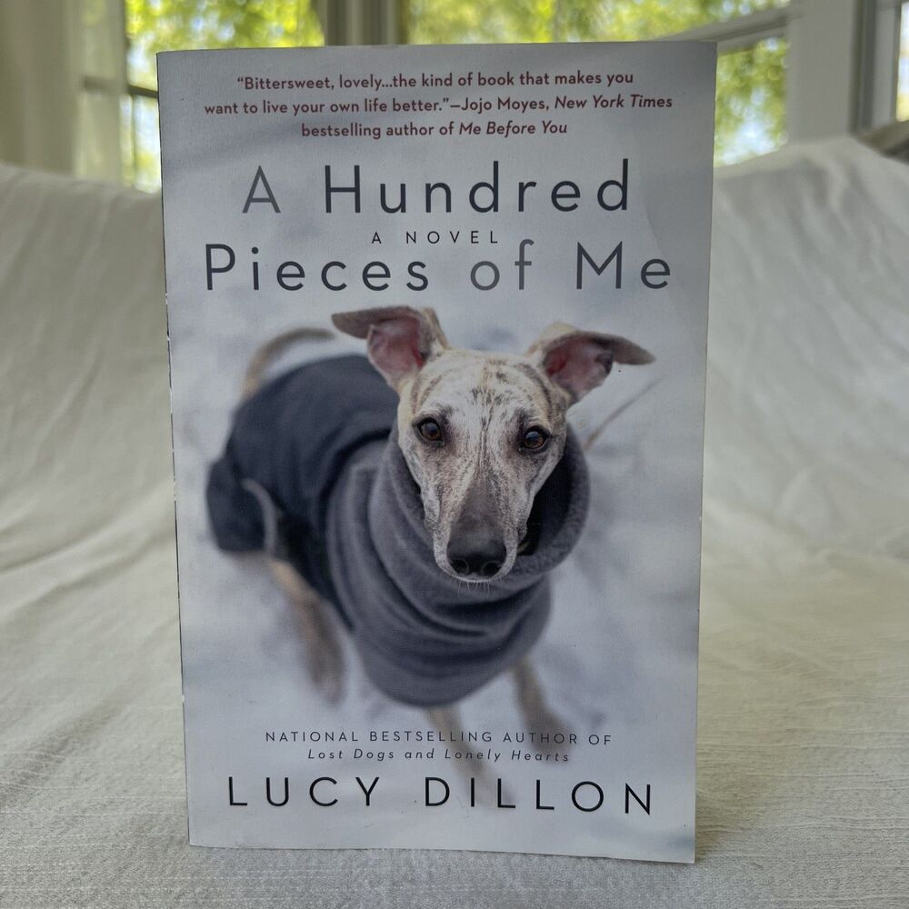 A Hundred Pieces of Me by Lucy Dillon